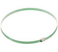 Delock Bridas de Acero Inoxidable (500 x 7,9 mm, 10 Unidades), Color Verde