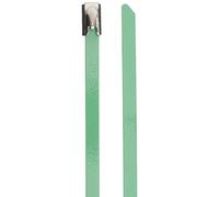 DeLock - Bridas para Cables (Acero Inoxidable, 200 x 4,6 mm, 10 Unidades), Color Verde