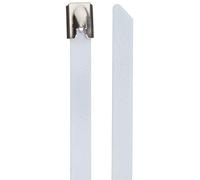 DeLock - Bridas para Cables (Acero Inoxidable, 200 x 7,9 mm, 10 Unidades), Color Blanco
