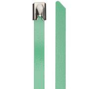 DeLock - Bridas para Cables (Acero Inoxidable, 200 x 7,9 mm, 10 Unidades), Color Verde