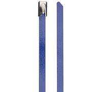 DeLock - Bridas para Cables (acero Inoxidable, 300 x 4,6 mm, 10 Unidades), Color Azul