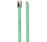 DeLock - Bridas para Cables (Acero Inoxidable, 400 x 4,6 mm, 10 Unidades), Color Verde