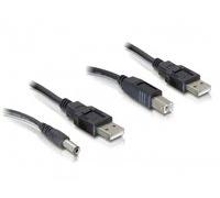 DeLOCK Cableset 2X USB-A/DC + USB-B - Cable USB (0,3 m, USB A, USB B, Negro)