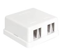 DeLOCK Caja Keystone montada en Superficie, 2 Puertos