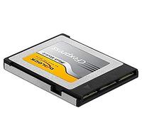 DeLOCK CFexpress - Tarjeta de Memoria de 256 GB