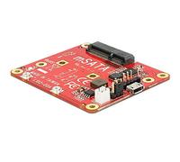 DELOCK Convertidor Raspberry Pi USB 2.0 a mSATA