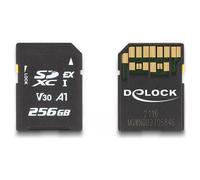 DeLock Express SDXC 256GB