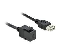 DeLOCK Keystone MÓDULO USB 2.0 C Hembra USB 2.0 A Hembra con Cable