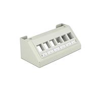 Delock Keystone - Soporte para panel multimedia (6 puertos), color gris