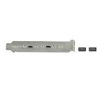 Delock Placa con 2 Puertos USB Tipo C.