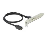Delock Placa de Ranura con 1 Puerto USB Tipo C.