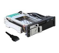 DeLOCK Rack amovible 5" 1/4 pour 1x disque dur S-ATA 2" 1/2, 1x 3 1/2 et 2x USB
