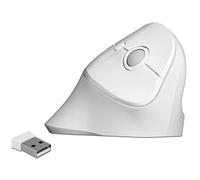 DeLock - Ratón ergonómico (USB, Vertical, inalámbrico)