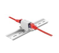 Delock Rj45 Acoplamiento Cat.6A Hembra a Hembra con Tapa Antipolvo para Montaje en carriles de Sombrero, apantallado, Gris/Blanco