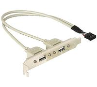 DeLOCK Slotbracket 1x Internal USB 5pin > 2X USB2.0 External 0.3m USB A Color Blanco - Cable USB (0,3 m, USB A, Color Blanco)