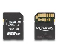 Delock Tarjeta de Memoria SD Express de 256 GB