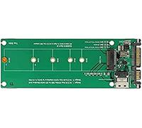 DeLOCK U.2 SFF-8654 o SATA - Convertidor (1 Adaptador m.2)