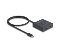 DeLOCK 18911 concentrador y concentrador USB 3.2 Gen 2 (3.1 Gen 2) Type-C 10000 Mbit/s Negro