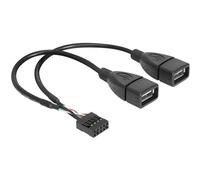 Delock USB Pinheader Female to USB A Cable, 2 x Female, 20 cm, black Single