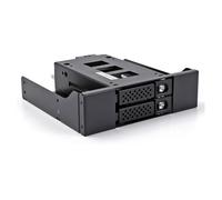 DeLOCK - Wechselrahmen para 2 x 2.5" U.2 NVMe SSD con marco de 5.25", referencia Slim Bay