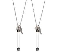 DELORIGIN 2 cadenas conmemorativas de bigotes para mascotas, colgante de botella transparente con huella de pata y colgante de alas, urnas, cenizas conmemorativas, recuerdo para pelo de gato