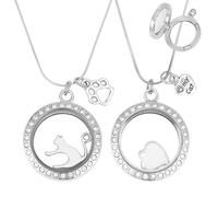 DELORIGIN 2 collar Conmemorativo para Cenizas de Mascotas, Recuerdo de Pelo de Perro, Collar con Medallón de Piel, Joyería Conmemorativa para Gatos Y Perros, Collar con Urna para Mascotas para Mujere