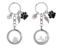 DELORIGIN Llavero de recuerdo de piel de gato, 2 unidades, acero inoxidable, pelo para mascotas, cenizas conmemorativas, medallón con colgante, pérdida de compasión, regalo para los amantes de los