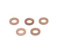 DELPHI 9001-850J-12B1 Junta anular inyector