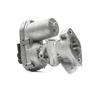 DELPHI AGR-Ventil EG10399-12B1