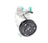 DELPHI Compresor, aire acondicionado para HYUNDAI: Santa Fe, Highway Van, Trajet, XG (Ref: TSP0159480)