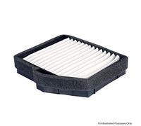 DELPHI EFP218 Filtro combustible