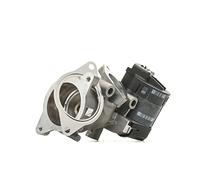 Delphi Válvula EGR EG10396-12B1