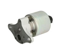 DELPHI VÃ¡lvula EGR para CHEVROLET: Nubira, Cruze, Lacetti, Epica, Aveo, Kalos & DAEWOO: Lacetti (Ref: EG10397-12B1)