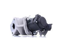 DELPHI EG10415-12B1 Válvula EGR sin radiator EGR Compatible con FORD Fiesta Mk6 Hatchback CB1, CCN, JA8, JR8 Fiesta Mk5 Hatchback JH, JD, JH1, JD1, JH3, JD3 FUSION JU Fiesta Mk6 Furgoneta, TOYOTA
