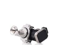 DELPHI EG10431-12B1 Válvula EGR sin radiator EGR Compatible con VW SHARAN 7M8, 7M9, 7M6, SEAT Alhambra 7V8, 7V9