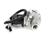 DELPHI EG10434-12B1 Válvula EGR