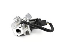 DELPHI EG10435-12B1 Válvula EGR