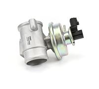 DELPHI EG10449-12B1 Válvula EGR