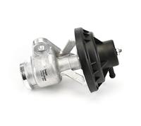 Delphi Technologies EG10458-12B1 Válvula EGR