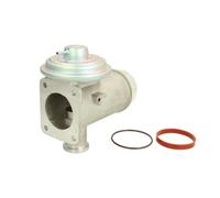 Delphi EG10466-12B1 - Válvula EGR