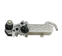 DELPHI EG10472-12B1 Válvula EGR con radiator EGR Compatible con VW Polo V Hatchback 6R1, 6C1 GOLF VI 5K1 Passat B7 Variant 365 TOURAN 1T3 Passat B6 Variant 3C5 Caddy III Furgoneta 2KA, 2KH, 2CA, 2CH