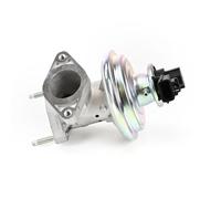 DELPHI EG10491-12B1 Válvula EGR
