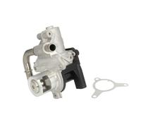 DELPHI EG10493-12B1 Válvula EGR sin radiator EGR Compatible con RENAULT MEGANE III Grandtour KZ0/1 Clio IV Grandtour KH Clio IV Hatchback BH GRAND SCÉNIC III JZ0/1 Clio III Hatchback BR0/1, CR0/1