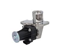 Delphi Válvula EGR EG10553-12B1 sin radiador EGR