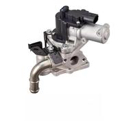 DELPHI EG10613-12B1 Válvula EGR