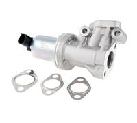 DELPHI EG10614-12B1 Válvula EGR