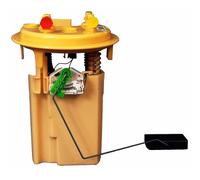 Delphi Sensor nivel de combustible FG1060-12B1 – Módulo de suministro para PEUGEOT 307 y CITROËN C4/C5