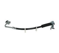 DELPHI Latiguillo de freno para JEEP: Commander, Grand Cherokee (Ref: LH7138)