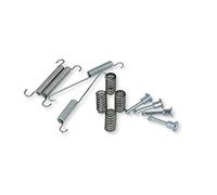 Delphi LY1363 - Juego de accesorios, zapatas de freno de estacionamiento