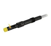 DELPHI R00501Z Portainyector